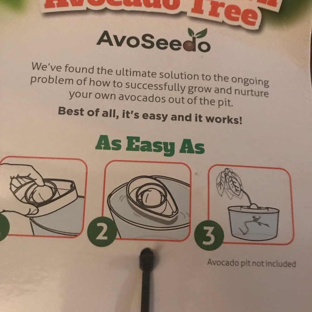 Avocado tree assist - Picture 3 of 5